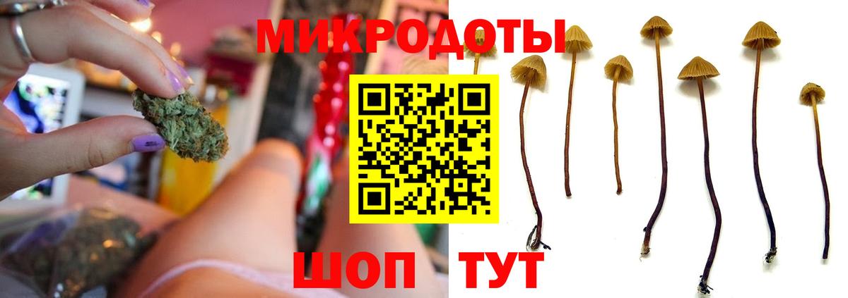 Псилоцибиновые грибы прущие грибы  Вход с VPN  Галлюциногенные грибы ЛСД  Трёхгорный 